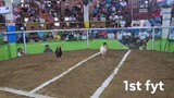 Lipa Arena 8/24 7 stag elimination LJ Vet/TDF-1