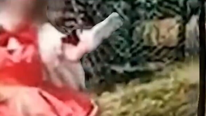 หญิงสาวถูกปีศาจต่างประเทศดุในชุดคอสเพลย์ "ซากุระวิเศษ"