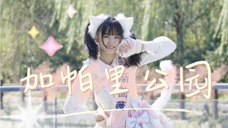 生日快乐～欢迎来到加帕里公园，点击领取你的小猫咪吧～