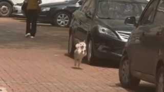 It’s so happy too.