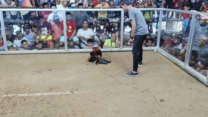 congrats warrior🔥💪