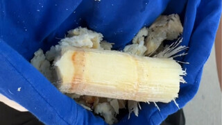 垃圾不落地，城市更美丽