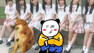"Cheems, jalani hidup dengan berani, kamu tidak punya banyak penonton"