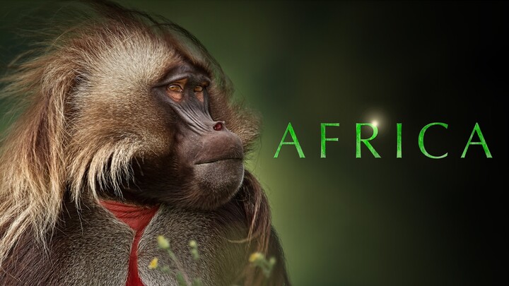 Africa, The Greatest Show on Earth. 7