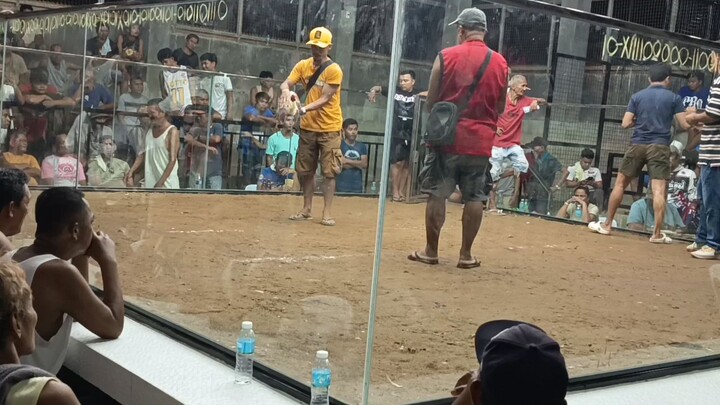 my championship fight