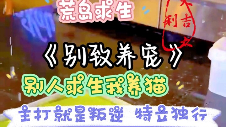 Vẫn khác mà, nuôi mèo cũng phải khác!