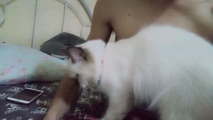 nana ko feeling sports cat habang nagmamsahe nanonood pa ng PBA  NSD