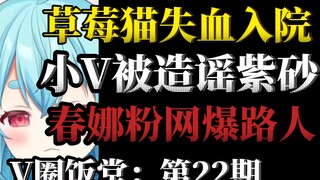 情节恶劣，事态严重！底层小V转生被造谣紫砂！春娜免费皮套被画师回收，狂热粉丝打电话人肉爆破路人！草莓猫失血入院 [V圈饭堂]#22