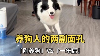 Dua wajah pemilik anjing.