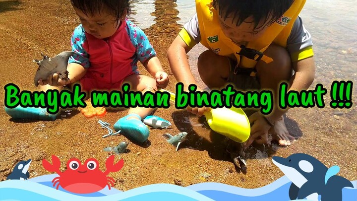 bermain mainan binatang laut di danau matano