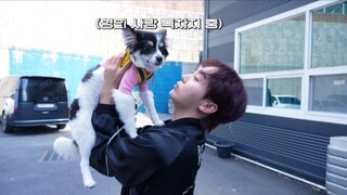 [لقطة سريعة لـ SEVENTEEN] الحلقة 77 بورو + الجرو = الثنائي الأكيد الفوز