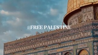 free Palestine🇵🇸