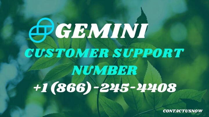 Gemini Customer Support Number +1866-245-4408 Call Us for Support
