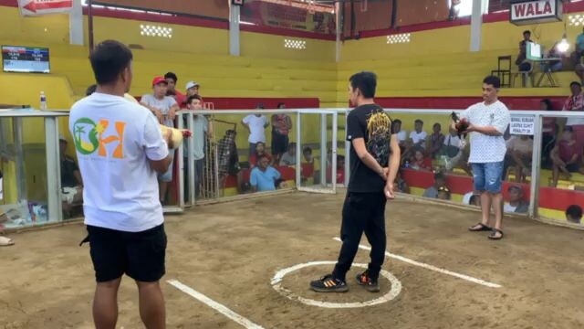 Nakadali ulit #SabongPinas