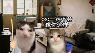 当我准备结束中式教育时