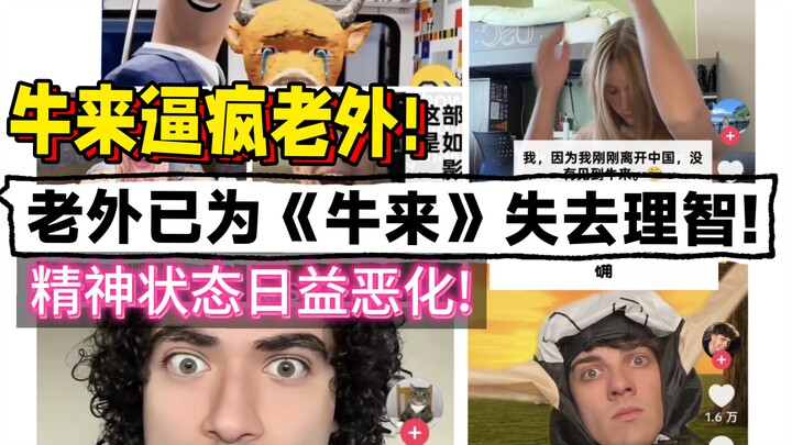 Foreigners have gone absolutely crazy over “Niu Lai”! Their mental state is deteriorating by the day