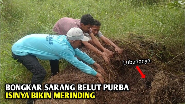 NEKAT MANCING BELUT PURBA DI TEMPAT YANG TIDAK PERNAH TERJAMAH MANUSIA HASILNYA BIKIN MERINDING !!