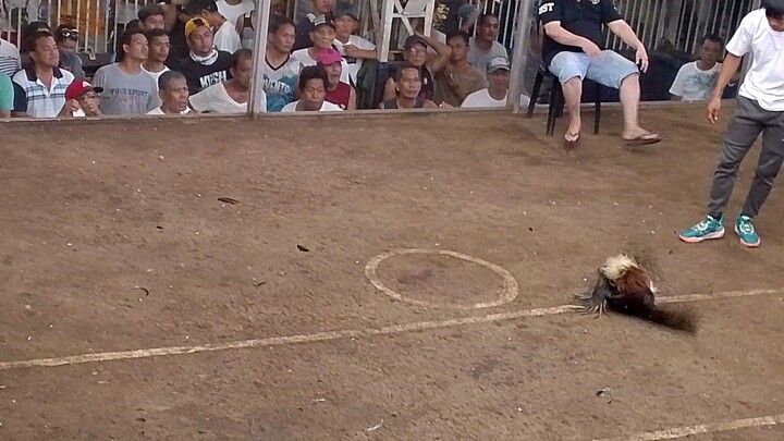 2hits ulutan galing mo talaga talisay