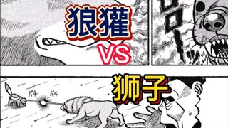 《真异种格斗大战》16 天不怕地不怕 狼獾挑衅狮子 第一轮结束 猩猩回家练柔术