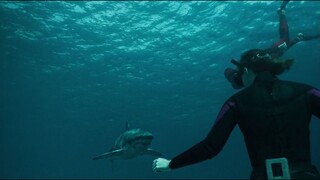 T h e L a s t B r e a t h (2024)