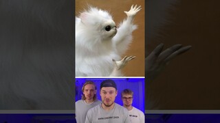 Funny Animals 🐣 | Part 40