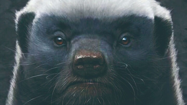 “Whether the grassland is in chaos or not? It’s up to Brother Pingtou!”