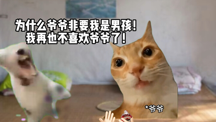 Tình yêu chưa nói thành lời của ông nội
