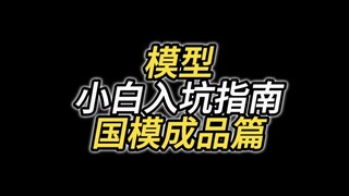 模型小白入坑指南之国模成品篇