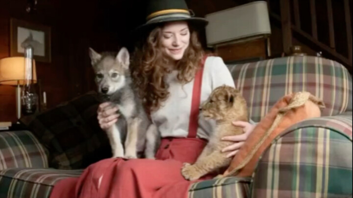 The Most Unlikely Guardian: When the Wolf’s Pride Meets the Lion’s Gentleness