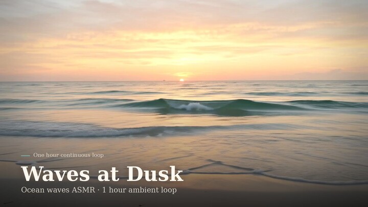 【ASMR】海浪声与沙滩 🌊 Ocean Waves & Beach Sounds | 助眠白噪音 (1 Hour)