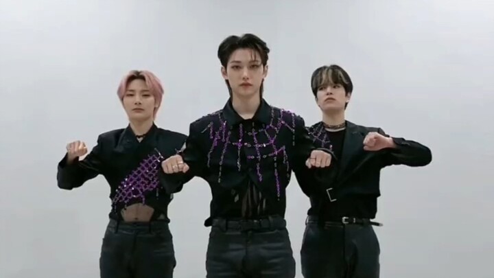 【Stray Kids】สิบอันดับแรกของยอดวิวบน TikTok อย่างเป็นทางการ