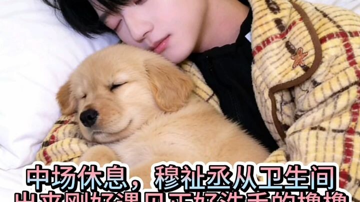 愿望成真，我变成了哥哥的小狗2️⃣ #橹穆 #ooc致歉 #ai语音