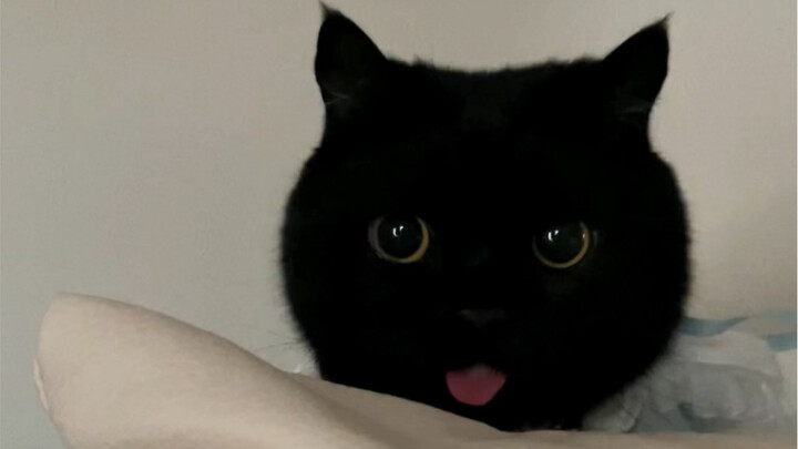 Let me see whose name is cuter!!