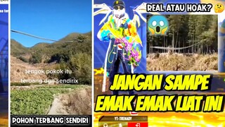 POHON TERBANG SENDIRI 😱