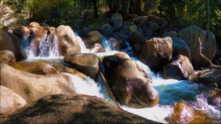 Podcast Surviving Tokyo’s Akihabara - Gaming, Anime & Chaos! Japan!