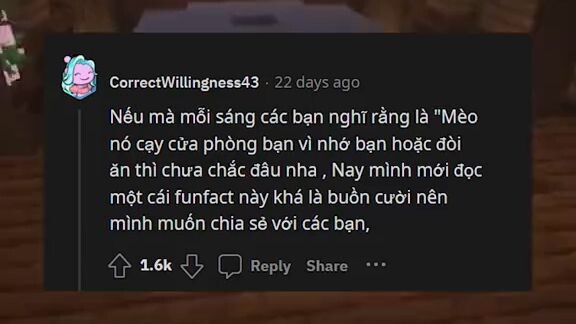 1 Funfact về loài mèo có thể bạn chưa biết #cauchuyenreddit #rvn #meo