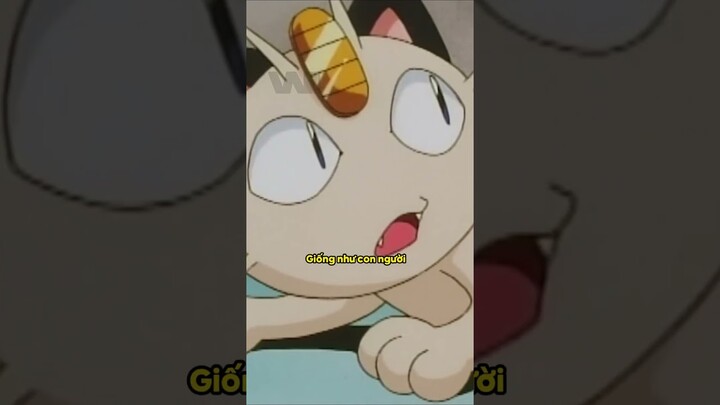 Tại sao chú mèo Meowth là Pokemon duy nhất biết nói #anime