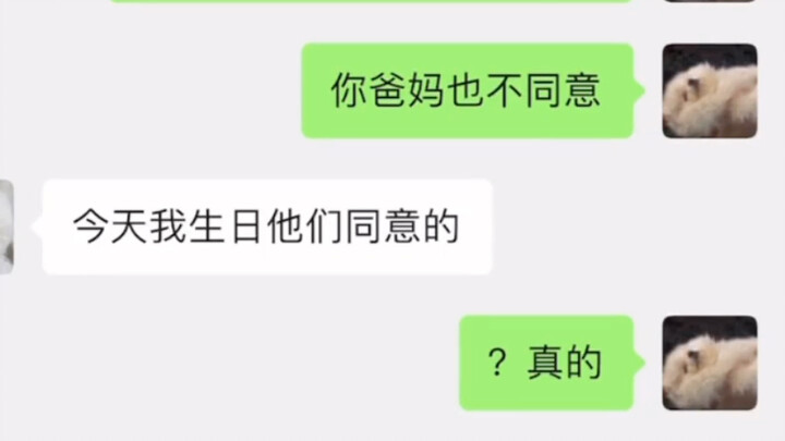 Bạn bè ngốc nghếch trong csgo