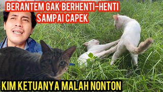 Astagfirullah Baru Berteman Malah Berantem Gulat Kagak Berhenti-Henti Mau Ketawa Takut Dosa..!