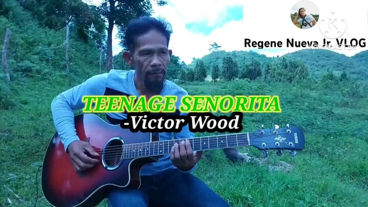 Teenage senorita | fingerstyle cover | Regene Nueva Sr.