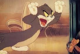 Tomđã làm gìđểđối phó với jerry???
