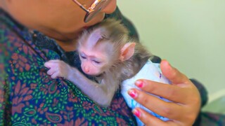 Deeply Love!! The sweetest adorable moment when Mom gently comforted with a sweet kiss