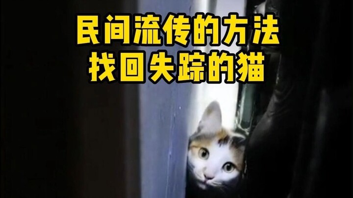 Folk remedies to find a missing cat