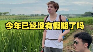 The rice has not been harvested yet, so I am thinking about going home for the New Year.