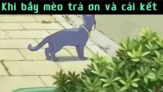 Khi bầy mèo trả ơn và cái kết