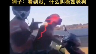 后来才发现，这tm才叫稳如老狗！