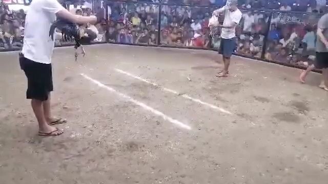 FEB. 26 WIN COCKPIT SAN FERNANDO MASBATE