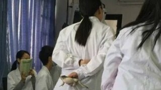 “สัญญากับฉันว่าคุณจะไม่ปล่อยให้พวกเขาเรียนจบ”