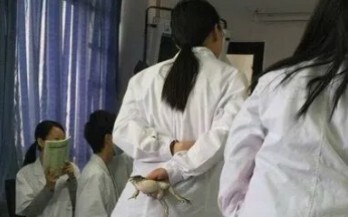 “สัญญากับฉันว่าคุณจะไม่ปล่อยให้พวกเขาเรียนจบ”