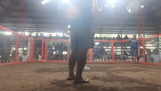 talo naman, para d lang panalo